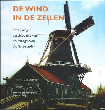 De wind in de zeilen 9789081178310 H. Brouwer Schut, Boeken, Geschiedenis | Stad en Regio, Verzenden, Zo goed als nieuw, H. Brouwer Schut