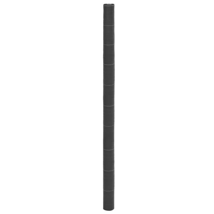 vidaXL Worteldoek 2x50 m polypropeen zwart, Jardin & Terrasse, Jardin & Terrasse Autre, Envoi
