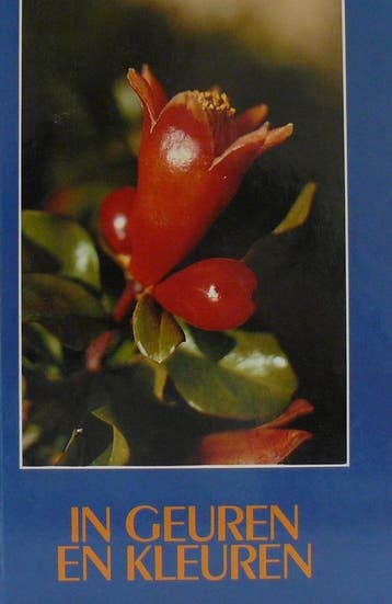 IN GEUREN EN KLEUREN 9789060479520 A.G. Versteeg, Verzenden, Gelezen, A.G. Versteeg