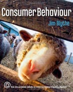 Consumer Behaviour 9781844803811 Jim Blythe, Verzenden, Gelezen, Jim Blythe
