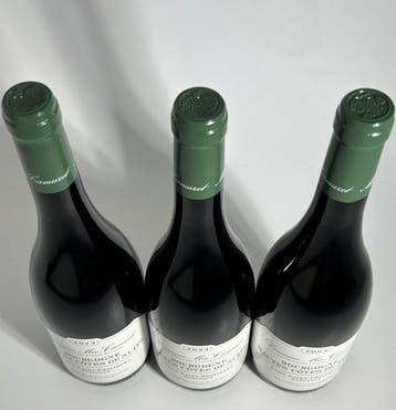 2023 Domaine Méo-Camuzet - Bourgogne Hautes-Côtes de Nuits