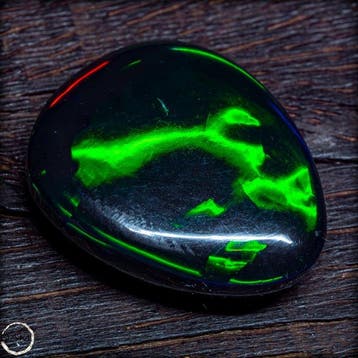 Black Opal – diepdonker lichaam met spectaculair neongroen
