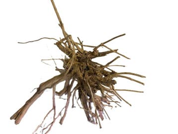 Driftwood Selected DW4 - 45x40x25cm (Small drift wood), Ophalen of Verzenden, Nieuw, Plant(en), Steen of Hout