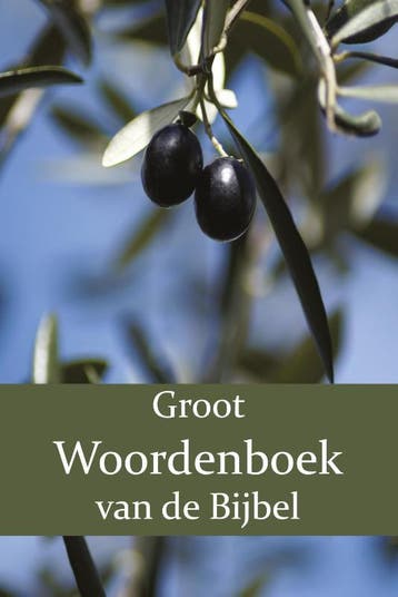 Groot Woordenboek Van De Bijbel O-Z | Nieuw, Verzenden, Nieuw, W. Moll; P.J. Veth; F.J. Domela Nieuwenhuis