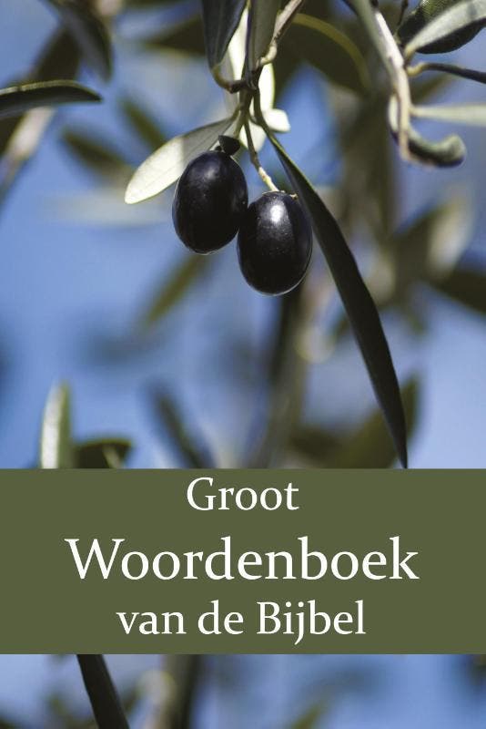 Groot Woordenboek Van De Bijbel O-Z | Nieuw, Boeken, Overige Boeken, Nieuw, Verzenden