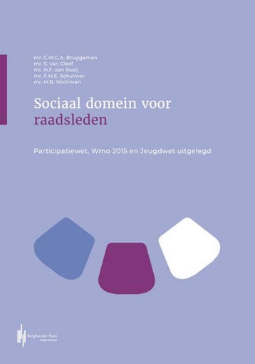 Sociaal domein voor raadsleden 9789492952769, Verzenden, Zo goed als nieuw, Kees-Willem Bruggeman