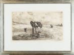 Willem van Dort Junior (1905-1996) - Schelpenvisser