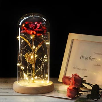 Kunst Roos in Glazen Stolp met Verlichting - Zijden Rozen, Verzenden, Nieuw