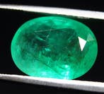 Cts. 5,46 smaragd Plak - Hoogte: 13.65 mm - Breedte: 10.4