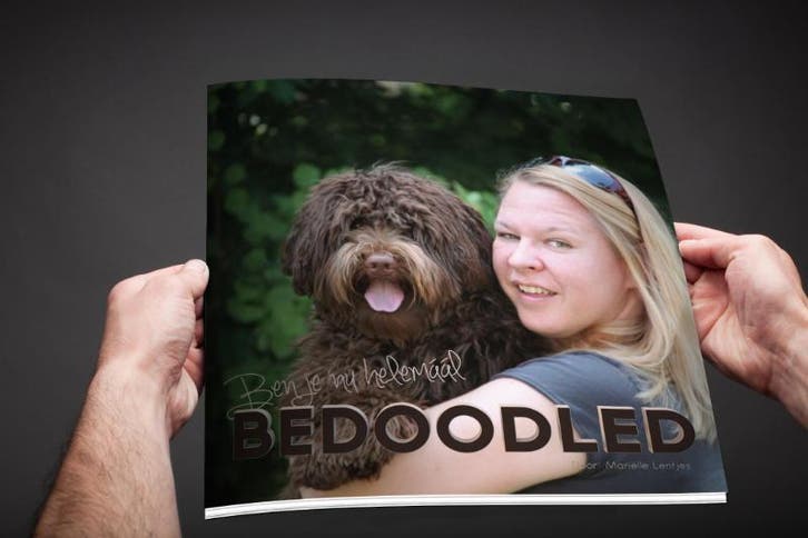 Ben je nu helemáál Bedoodled 9789082095609 Mariëlle Lentjes, Livres, Loisirs & Temps libre, Envoi