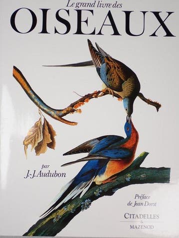 Jean-Jacques Audubon - Le Grand Livre des Oiseaux - 2023