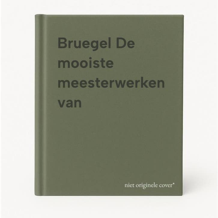 Bruegel De mooiste meesterwerken van 5413660945614, Livres, Littérature, Envoi