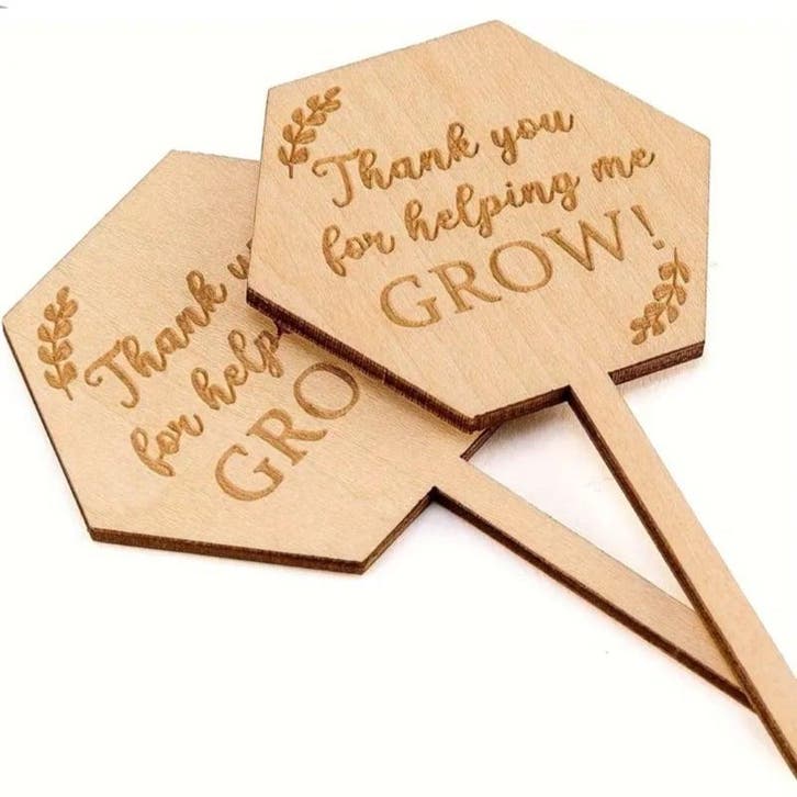 Plantenprikker juf meester - Thank you for helping me gro..., Diversen, Schoolbenodigdheden, Nieuw, Ophalen of Verzenden