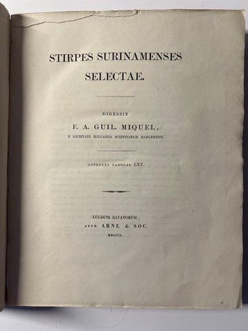 Friedrich A.W. Miquel - Stirpes Surinamenses selectae