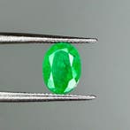 Zonder minimumprijs Groen Smaragd - 1.45 ct - International, Nieuw