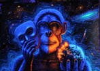 Tauritari - primate hypocrite