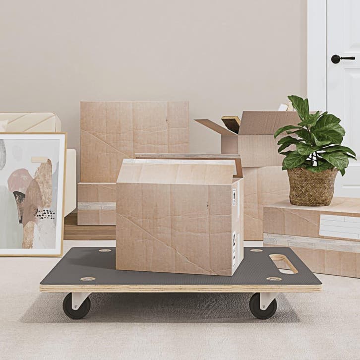 vidaXL Meubelhondjes 2 st rechthoekig 250 kg 80x55x11,5 cm, Articles professionnels, Stock & Retail | Emballage & Expédition, Envoi