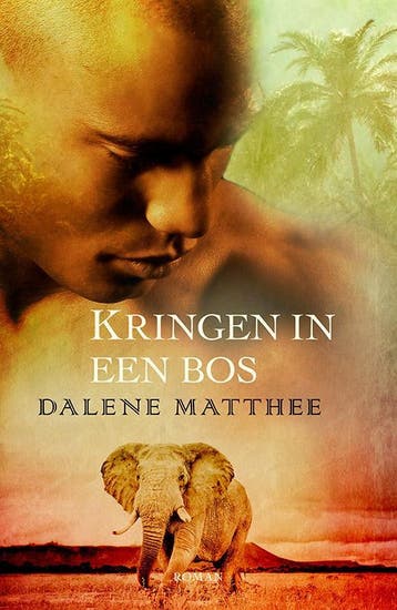 Kringen in een bos / Bostrilogie / 1 9789088653247, Boeken, Verzenden, Zo goed als nieuw, Dalene Matthee