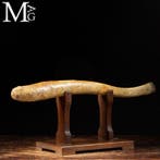 Curiosity Objects - Natuurwetenschap late 19e eeuw tot