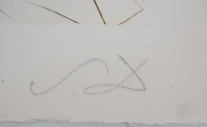 Salvador Dali (1904-1989) - Le roi Marc, Antiek en Kunst, Antiek | Overige Antiek