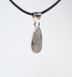 Muonionalusta meteoriet Hanger van ijzeren meteoriet / nieuw, Verzamelen, Mineralen en Fossielen