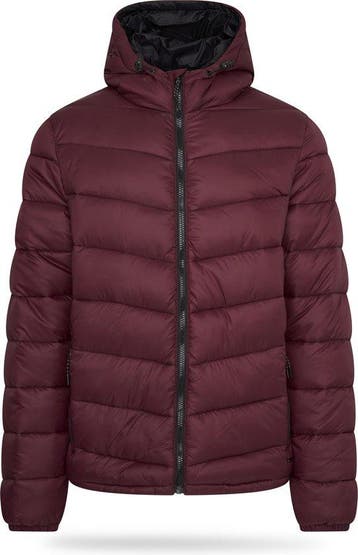 2dekans | Pierre Cardin - Heren Jas winter Padded Jacket -, Kleding | Heren, Ophalen of Verzenden, Nieuw