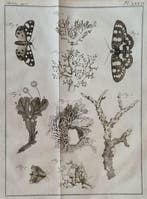 Noel Chomel en Jacques Alexandre de Chalmot - Vervolg op