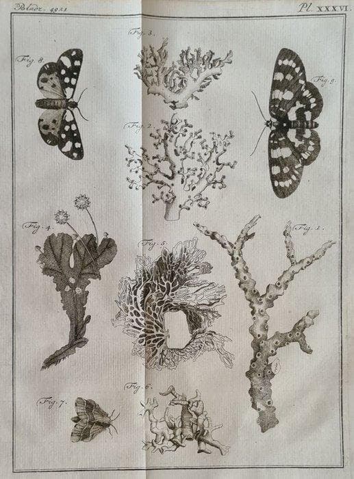 Noel Chomel en Jacques Alexandre de Chalmot - Vervolg op, Antiquités & Art, Antiquités | Livres & Manuscrits