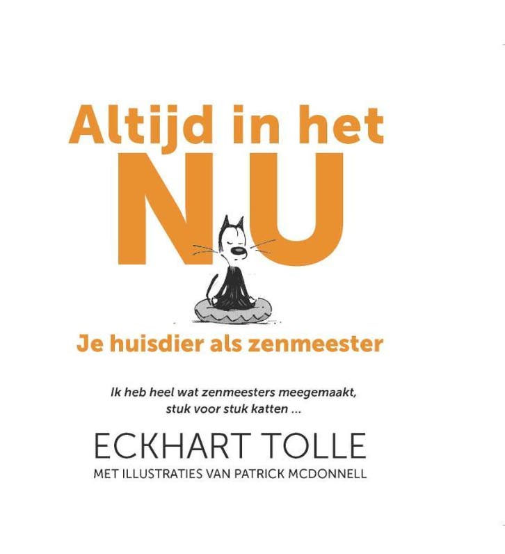 Altijd in het nu 9789020215601 Eckhart Tolle, Boeken, Stripverhalen, Gelezen, Verzenden
