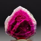 Prachtige rubelliet-toermalijn • 37,40 ct • Echt museumstuk