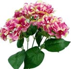 Hortensia Hydrangea Groot Pink Bicolor Zijdenbloem New 49 cm