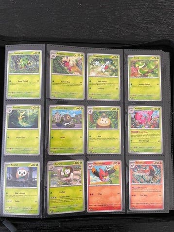 Complete set Ascended Heroes & Perfect Order - Base Sets –, Hobby en Vrije tijd, Nieuw