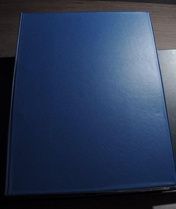 Wereld - Verzameling met diverse landen in 2 Albums en, Postzegels en Munten, Postzegels | Amerika