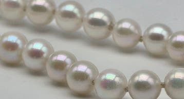 Sans prix de réserve - Collier - 18 carats Or jaune Perle -, Nieuw