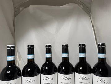 2021 Monchiero Carbone - Pelisa - Piëmont DOC - 6 Flessen