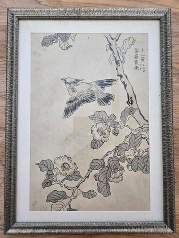 Set of 6 Japanese Woodblock Prints - Kacho-e (Birds and