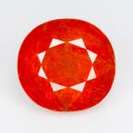 1 pcs Oranje Granaat, Spessartiet - 16.10 ct - nternational, Nieuw