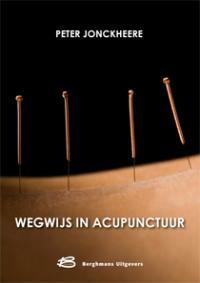 WEGWIJS IN ACUPUNCTUUR 9789070959852 B. Lauvrijs, Boeken, Verzenden, Zo goed als nieuw, B. Lauvrijs
