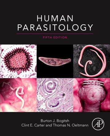 Human Parasitology 9780128137123 Burton J. Bogitsh, Verzenden, Burton J. Bogitsh