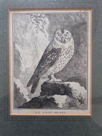 Jacques de Sève (XVIII), after - 5 prenten uit het boek