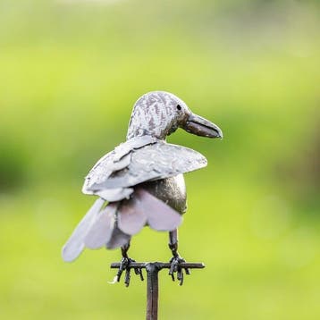 Figuur - Kraai op een metalen staaf - Metaal