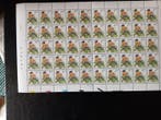 Belgique - feuilles complètes de timbres buzin dont 1 preo +