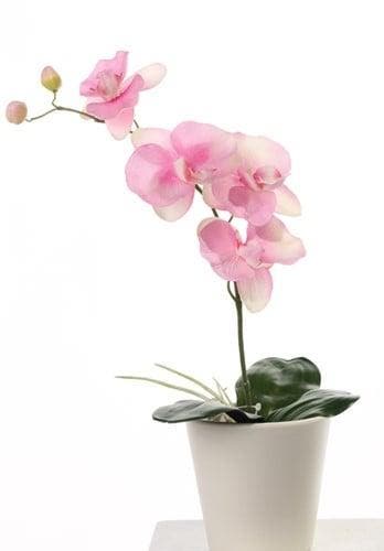 Orchidee phalaenopsis roze zijden plant blad en wortel 44 cm, Maison & Meubles, Accessoires pour la Maison | Plantes & Fleurs artificielles
