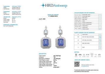 Oorbellen - 14 karaat Witgoud - 10.05ct. tw. Tanzaniet -