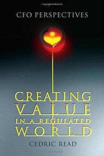 Creating Value In A Regulated World 9780470013533, Livres, Langue | Anglais, Envoi