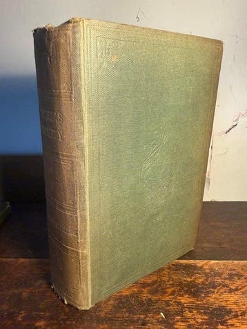 Charles Dickens/Hablot Knight Browne (Phiz) - Nicholas