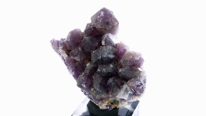 amethist - Saint-Germain-lHerm, Puy-de-Dôme, Frankrijk -, Collections, Minéraux & Fossiles