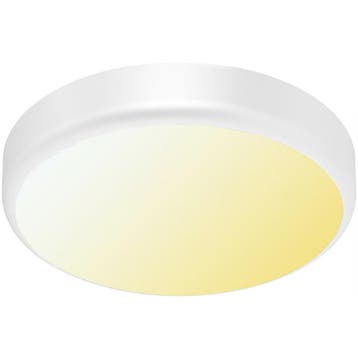 LED Plafondlamp met Sensor + Dag en Nacht Sensor - Brinton G, Verzenden, Nieuw