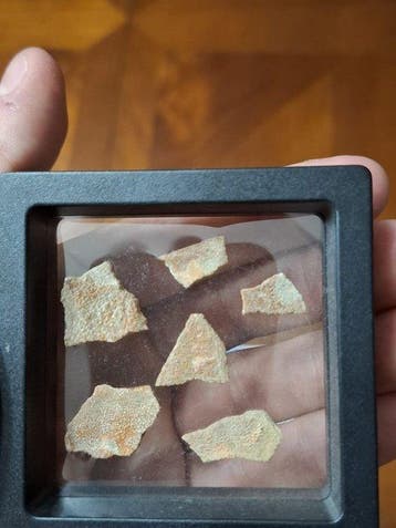 Dinosaurus - Fossiel fragment - Lot de 6 rare morceaux de, Verzamelen