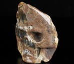 Wereldzeldzaamheid 650! g 1,12 x 9,90 cm XXL AA Dinosaur